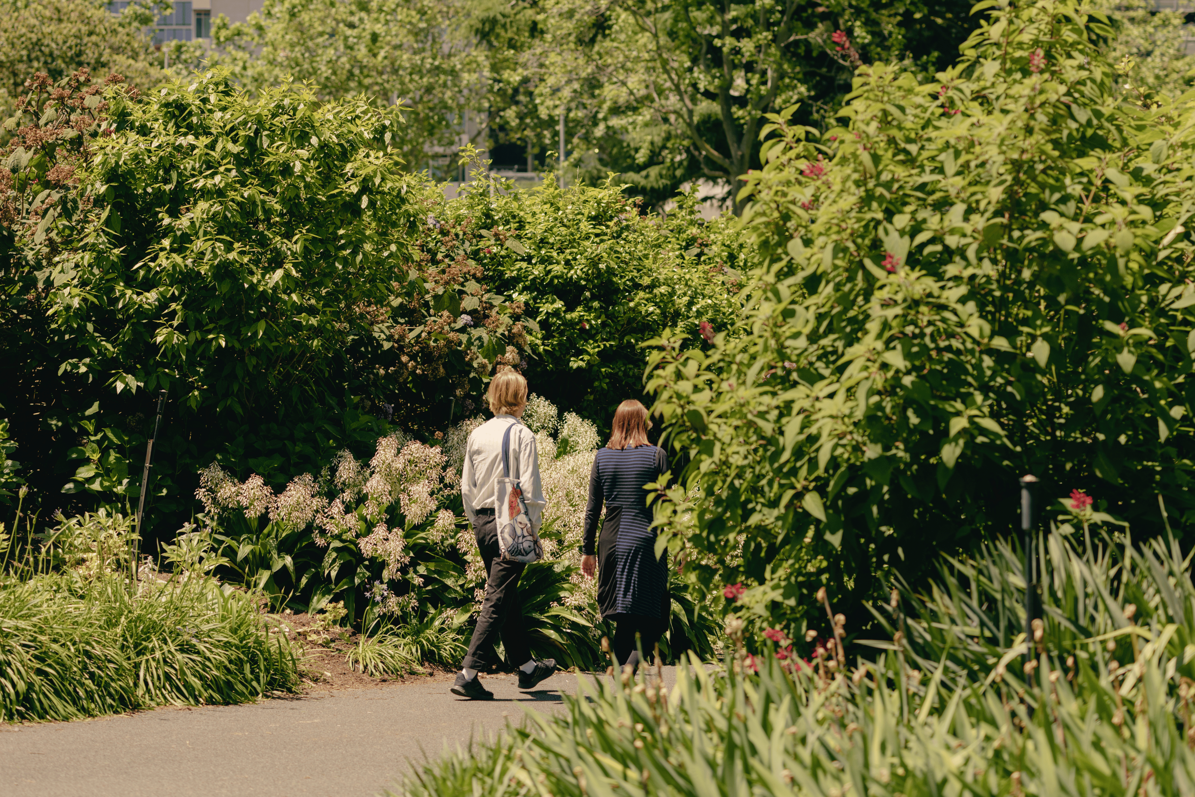 Garden shot.png