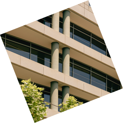 Rectangle 49 (1).png